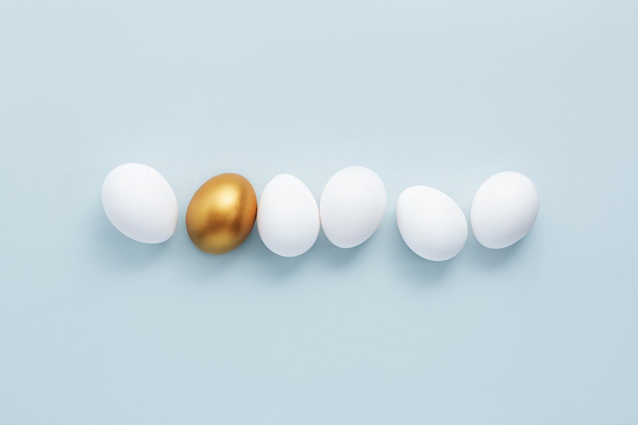 Investing Safely: Risks in the Stock Market